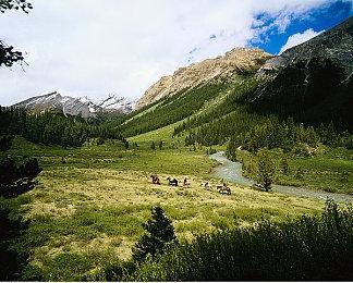 外媒称《银河战士：生存恐惧》制作人表有资格限制