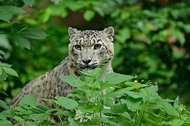 PlayStation用户免费领取3个月Apple TV+试用 新老用户均可参与